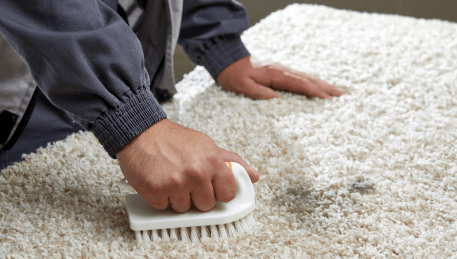 Professional Rug Cleaning Southbank
